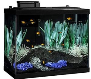 Tetra Colorfusion Aquarium